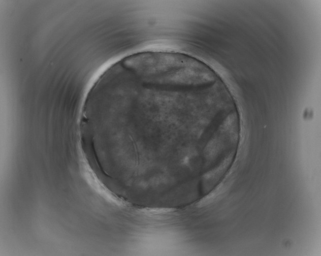 X0000112750864200909101538