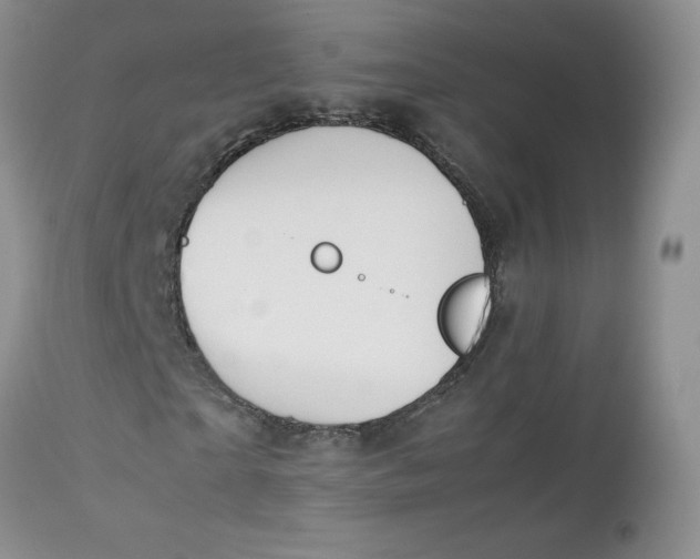 X0000112750865200909101538