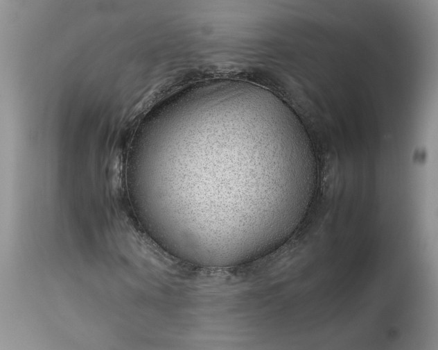 X0000112750866200909101538