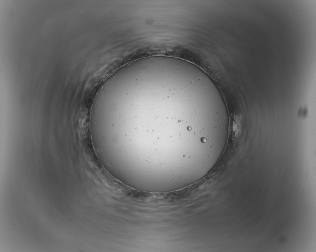 X0000112750867200909101538