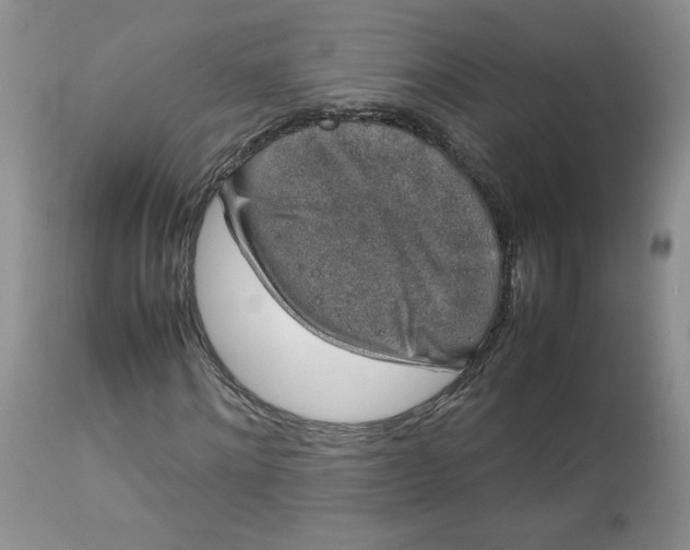 X0000112750868200909101538