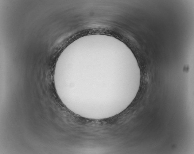 X0000112750869200909101538