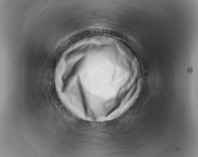 X0000112750870200909101537