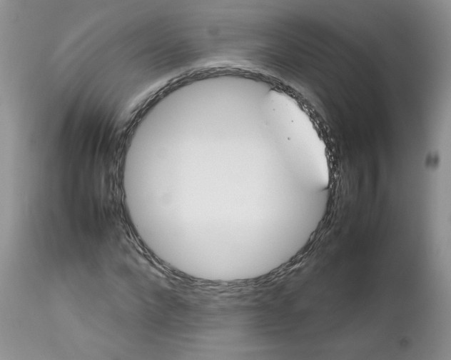 X0000112750872200909101537