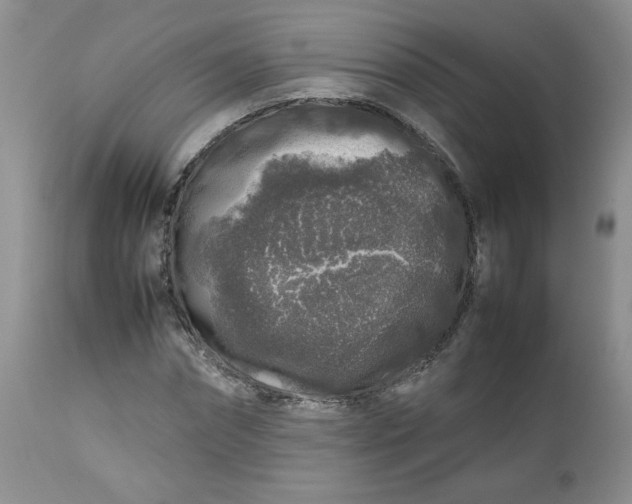 X0000112750874200909101537