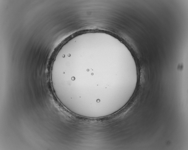 X0000112750876200909101537