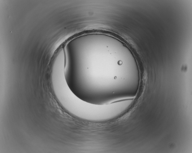 X0000112750877200909101537