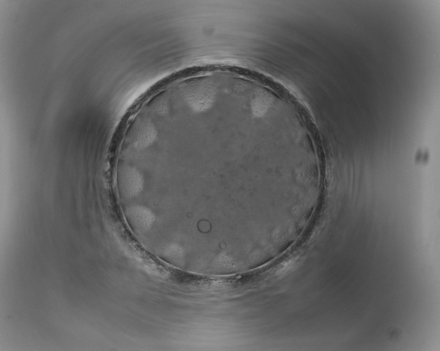 X0000112750879200909101537