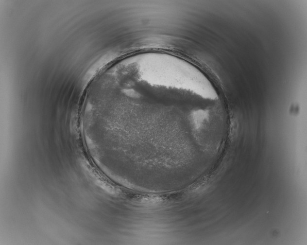 X0000112750882200909101537