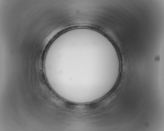 X0000112750883200909101537