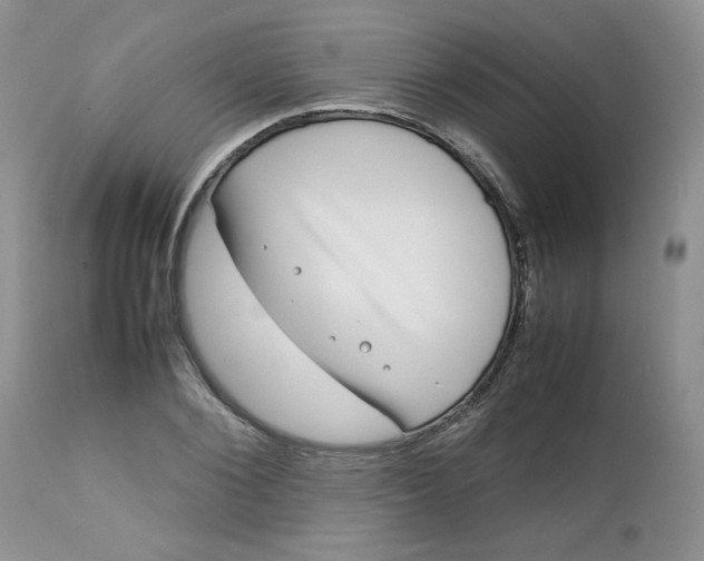 X0000112750884200909101537