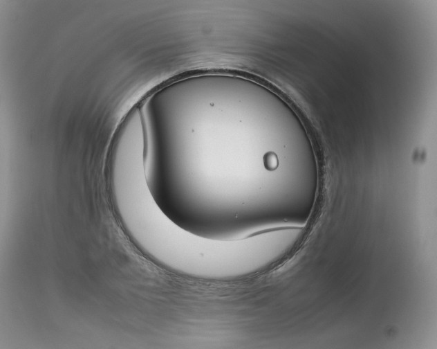 X0000112750885200909101537