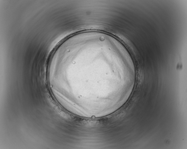 X0000112750886200909101537