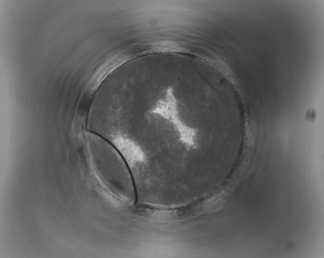 X0000112750889200909101537