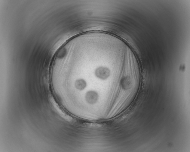 X0000112750890200909101537