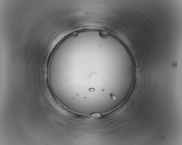 X0000112750891200909101537