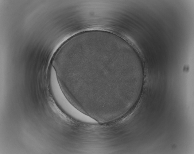 X0000112750892200909101537