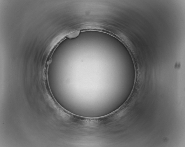 X0000112750893200909101537