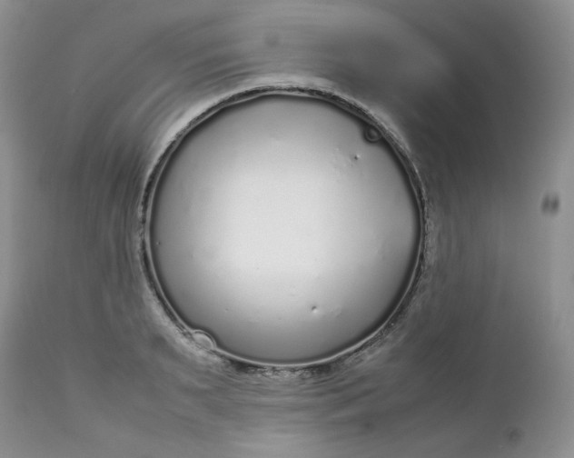 X0000112750895200909101537