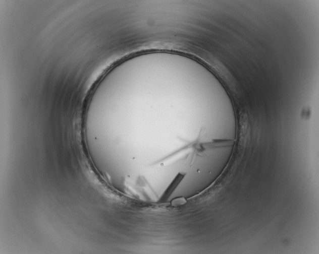 X0000112750896200909101537