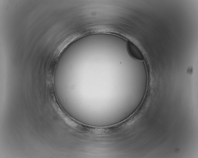 X0000112750897200909101537