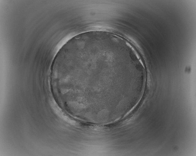 X0000112750899200909101537