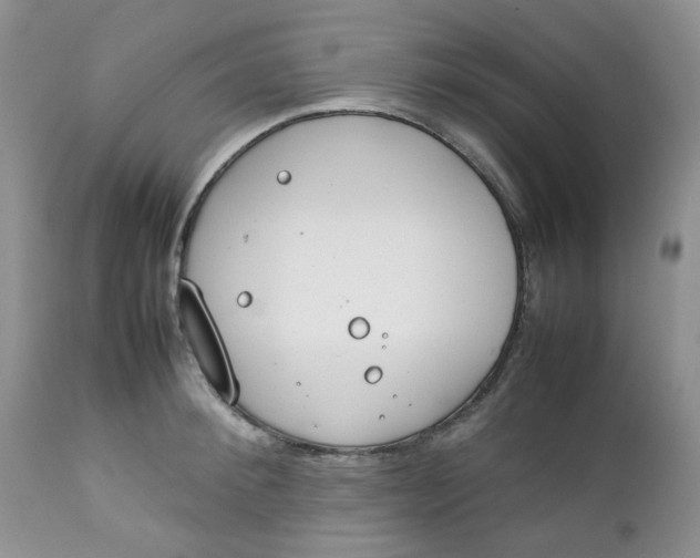 X0000112750900200909101537