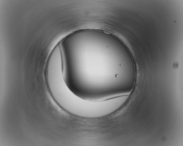 X0000112750901200909101537