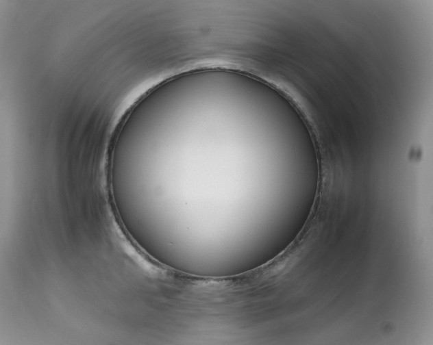 X0000112750902200909101537