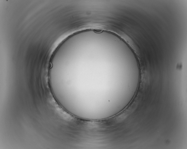 X0000112750904200909101537