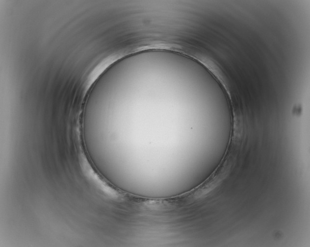 X0000112750906200909101537