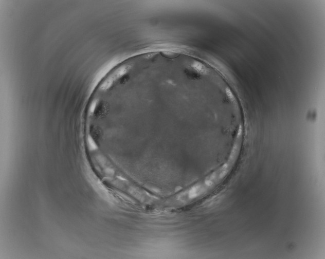 X0000112750907200909101537