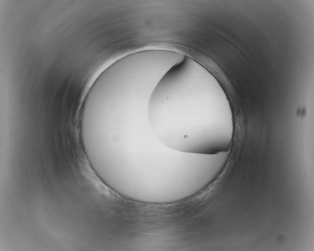 X0000112750908200909101537