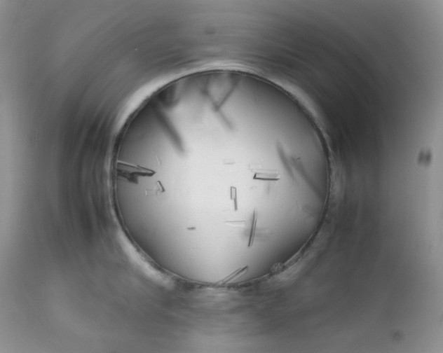 X0000112750910200909101537