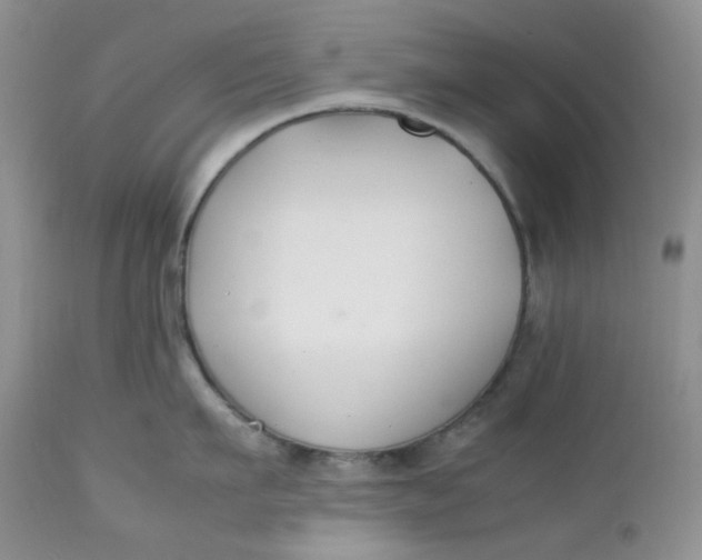 X0000112750911200909101537