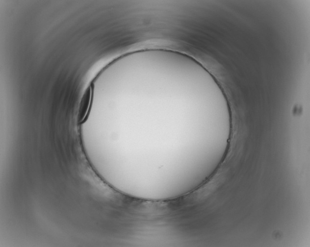 X0000112750912200909101537