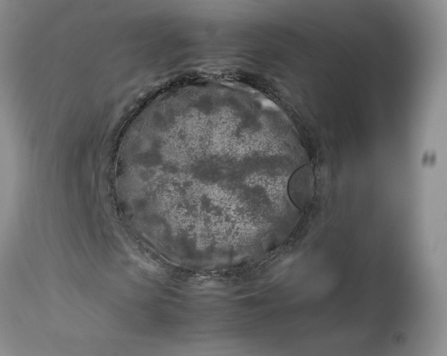 X0000112750913200909101536