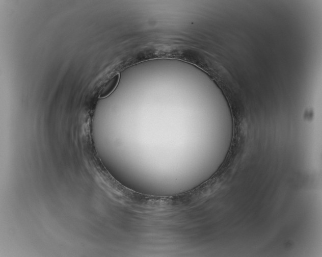 X0000112750914200909101536