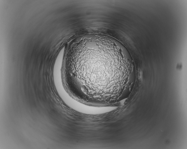 X0000112750915200909101536