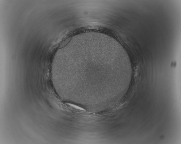 X0000112750916200909101536