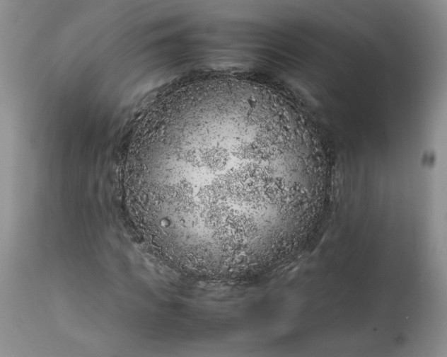 X0000112750917200909101536