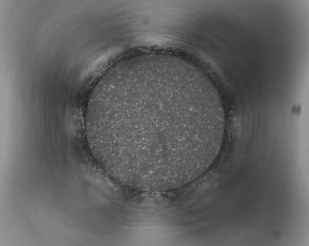 X0000112750918200909101536