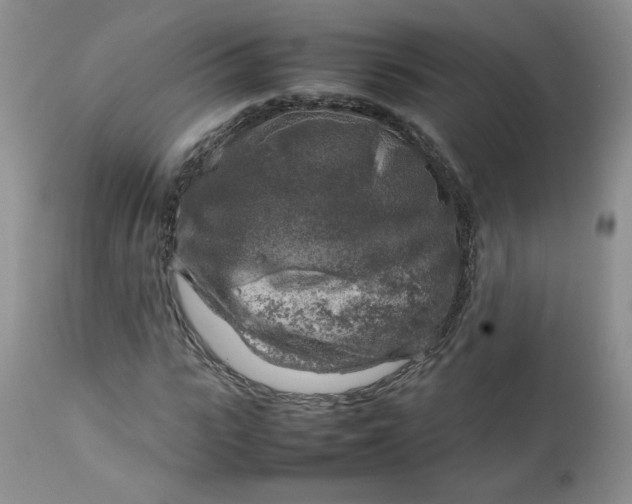 X0000112750919200909101536