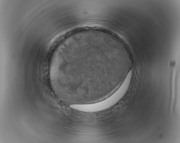 X0000112750920200909101536