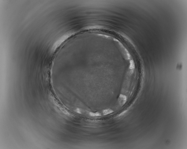 X0000112750921200909101536