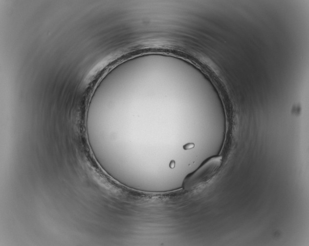 X0000112750922200909101536