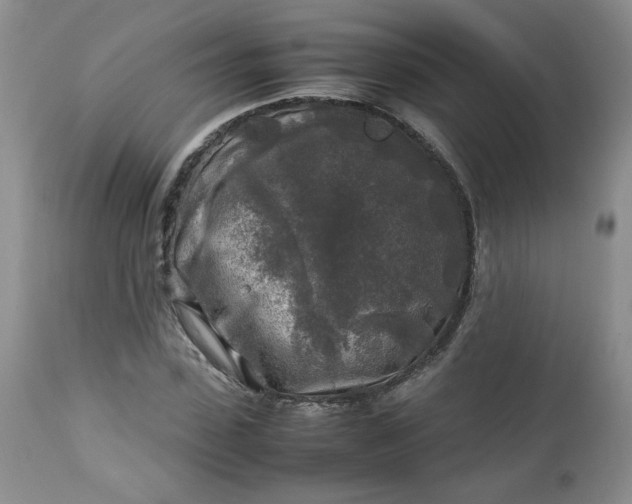 X0000112750923200909101536