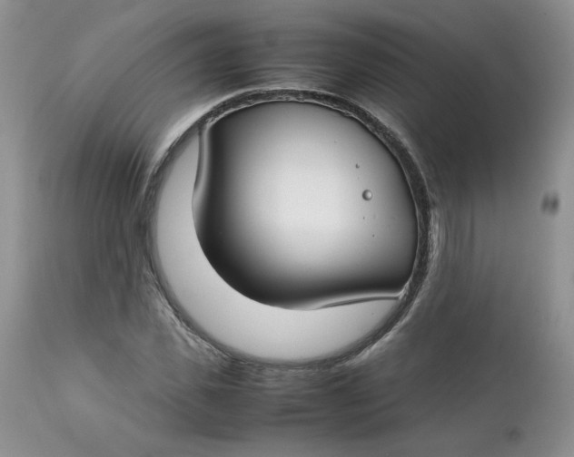 X0000112750925200909101536