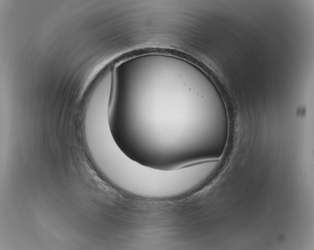 X0000112750926200909101536