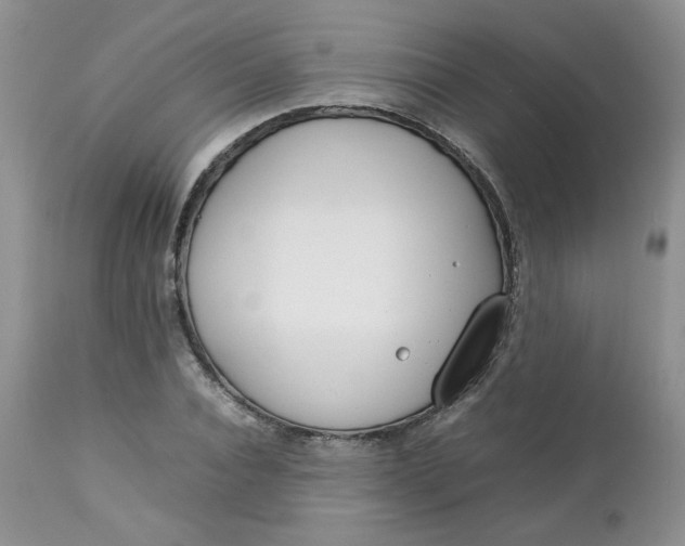 X0000112750928200909101536